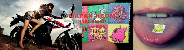 шишки Горнозаводск