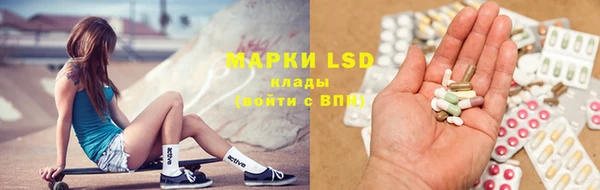 шишки Горнозаводск