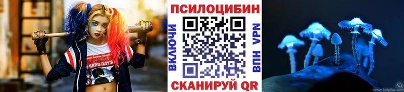 Купить где  Северобайкальск  Галлюциногенные грибы Psilocybine cubensis 