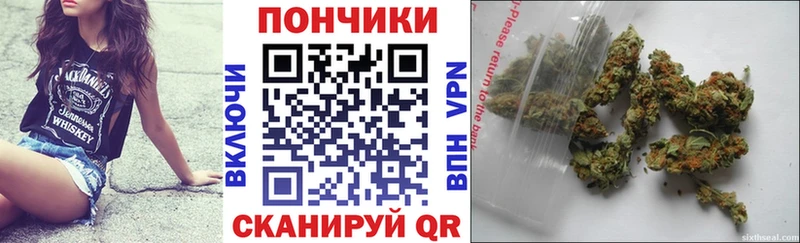 Купить закладки  Северобайкальск  Бошки марихуана MAZAR 